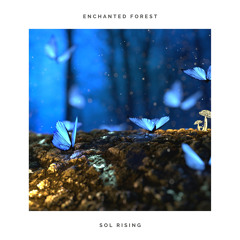 Enchanted Forest