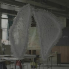 Beogradski Sindikat - Anđeli žive doveka