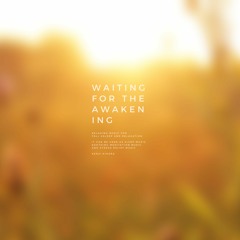 Waiting For The Awakening