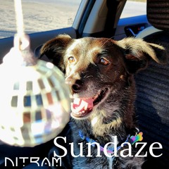 Sundaze - NITRAM