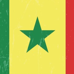 READ [PDF] Senegal Flag Journal: Senegal Travel Diary, Senegalese Souvenir Book,