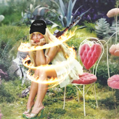 Taste Sabremix Carpenter