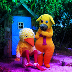 BAMSES DAKBOG