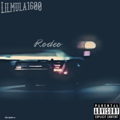 Rodeo(Prod.longboystyle)