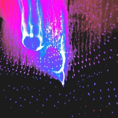 Your Body Will Follow