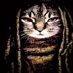 payload based freestyle (prod. xakk3ry) #503