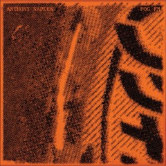 Anthony Naples - Fog Fm