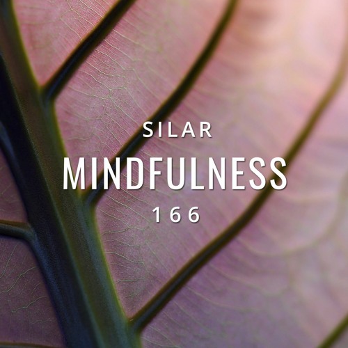 Mindfulness Episode 166