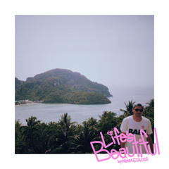 AdamStacks_Life'sBeautiful_MASTER