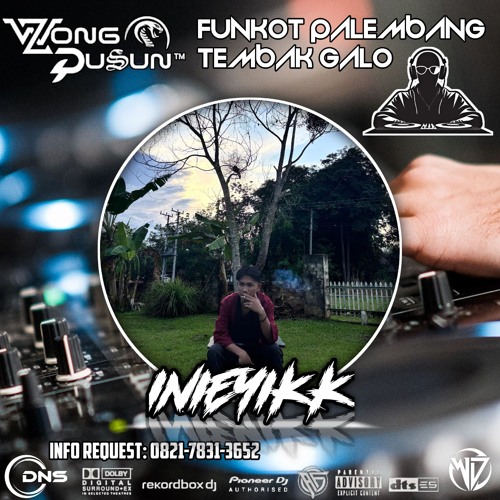 DJ WONG DUSUN REMIX l DUGEM MIMPI YANG HILANG X GUNUNG SINDUR l SPESIAL REQUEST INIEYIKK 2025.mp3.mp