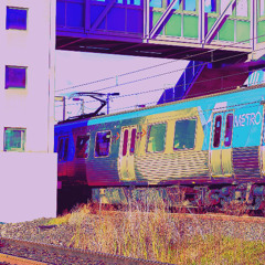 stupid train