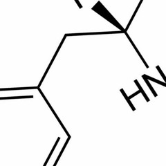 VORWÄRTS IMMER RÜCKWÄRTS NIMMER