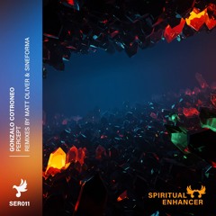 Premiere: Gonzalo Cotroneo - Percept (Sineforma Remix)
