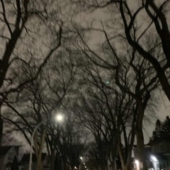 delusional (prod. by pyctur)