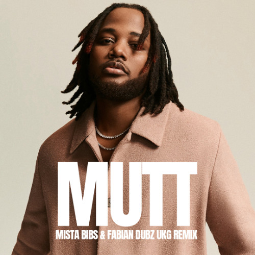 Leon Thomas - MUTT (Mista Bibs & Fabian Dubz UKG Remix) (Clean)