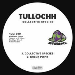Tullochh - Check Point