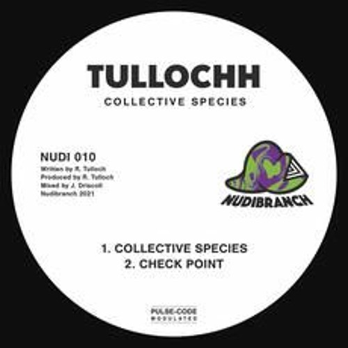 Tullochh - Check Point
