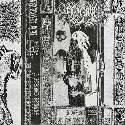 ж рзе импмннуыюк навеч // bleed