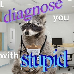 I Sampled A Guitar Riff