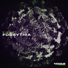 Fizika - Forsythia [Free Download]