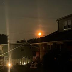 All Love Dies (prod thenyoutrust)