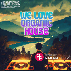 RayHill @ We love Organic House #4