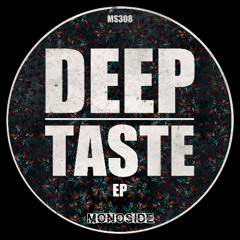 Kirill Levski - WRONG NOTE // MS308