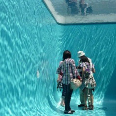 Melvinos - Get Up In The Pool