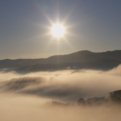 Daylight