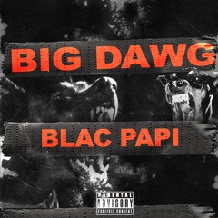 Big Dawg