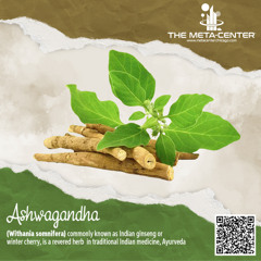Ashwagandha - Growing, Traditional Use, Scientific Benefits, Metaphysical Use and More!