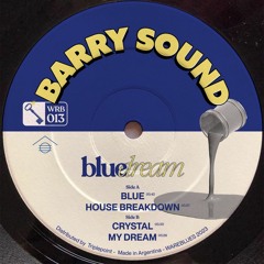 Premiere: Barry Sound - My Dream (Original Mix) [WAREBLUES]