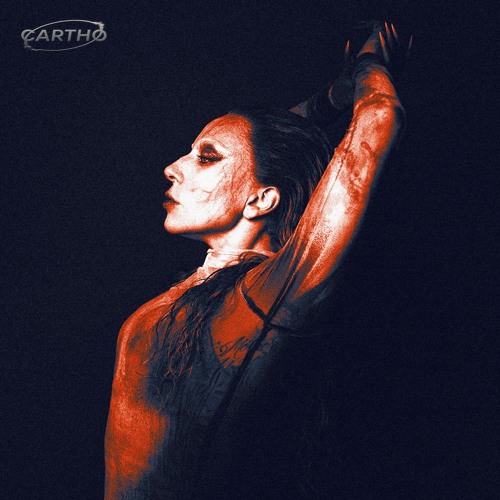 LADY GAGA - DISEASE (CARTHO REMIX) [[PITCHED]]