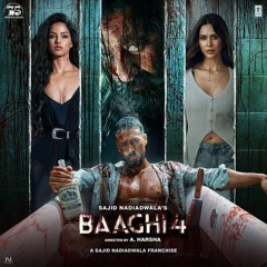 Marjaana Baaghi 4