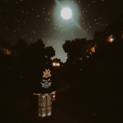 minecraft flow