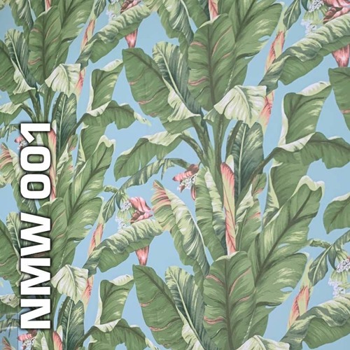 NMW Series (Completed)