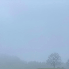 per diventare angeli