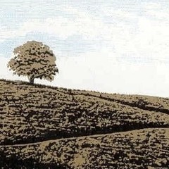 Biz aşığız, Hakk'tan didar isteriz.