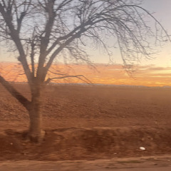 RDR2