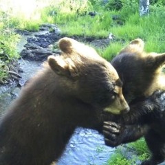 late night eyes and a soda