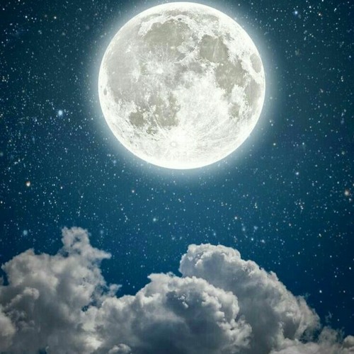 The Moonlight Sonata