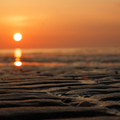 There are days - Mike Park