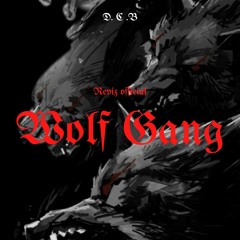 REVIZ - WOLF GANG