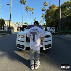 TrackMoney P - BIG GAME
