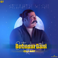 Behnam Bani - Setareh Mishi (DJ.MT Remix) ریمکس بهنام بانی - ستاره میشی