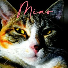 CHE VUOLE QUESTA MUSICA (cover P.Gagliardi)  MIAO 2021