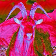 Never gonna glitch you (midi) up