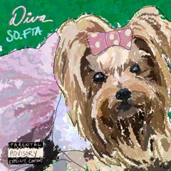 SO.FTA - DIVA