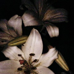 melancholy