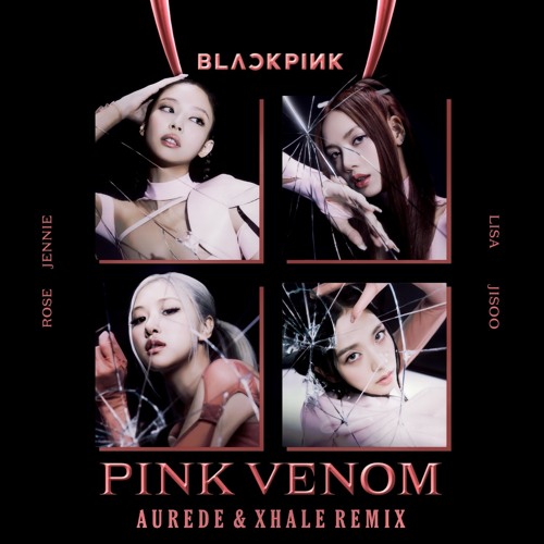 BLACKPINK - Pink Venom (AUREDE & XHALE REMIX )